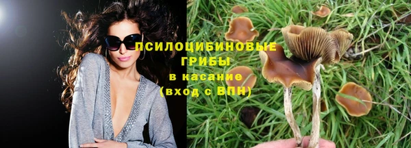 героин Алексин