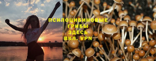 сатива Алексеевка